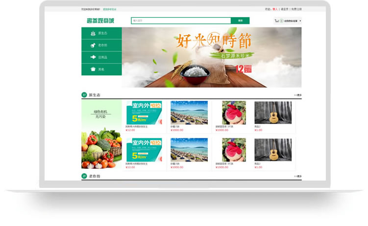 商城網(wǎng)站建設案例